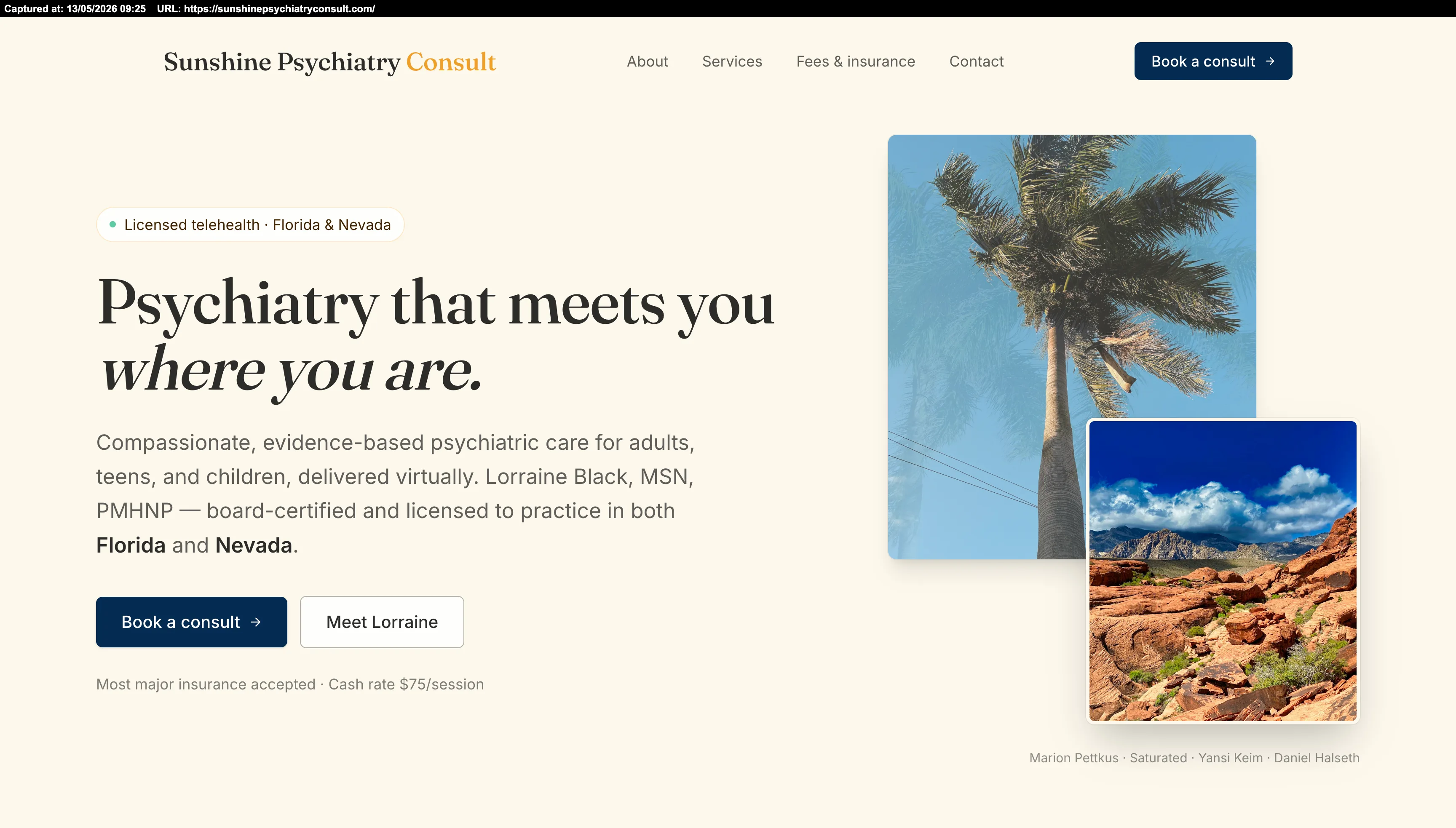 Sunshine Psychiatry Consult site preview